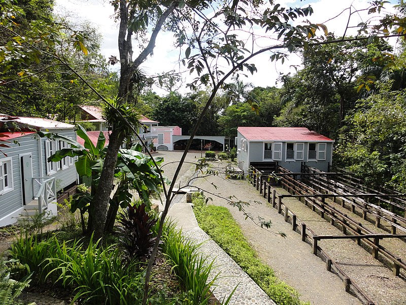 Coffee from the South Region